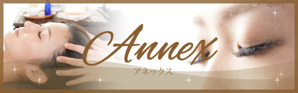 アネックス情報はこちら